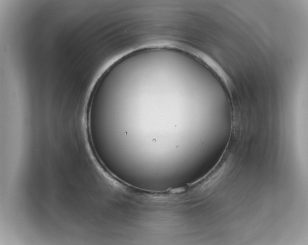 X0000111890951200907301155