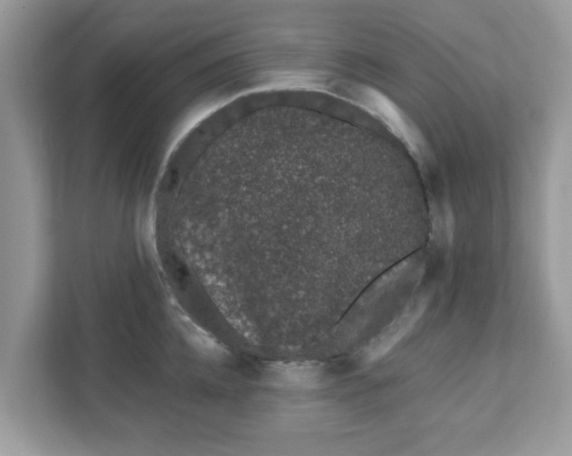 X0000111890952200907301155