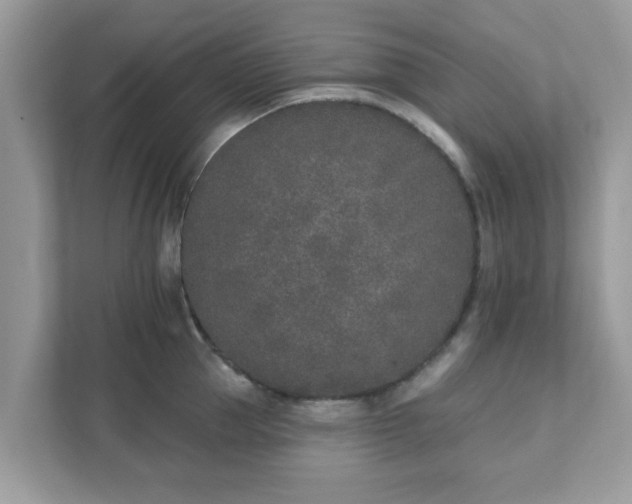 X0000111890953200907301155