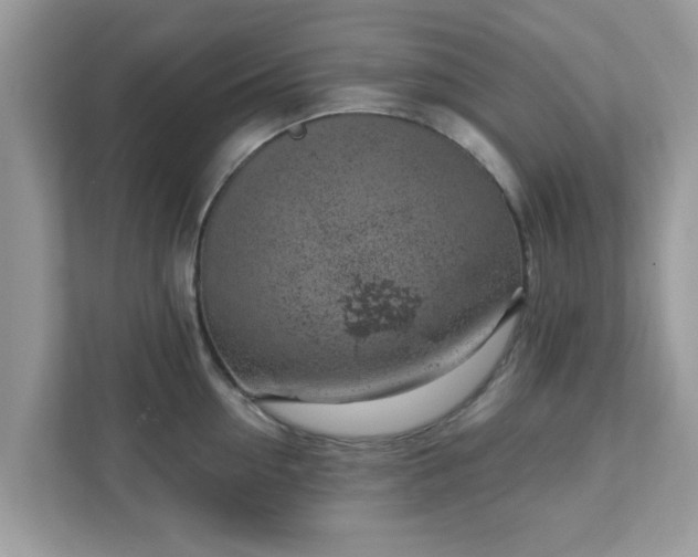 X0000111890954200907301155