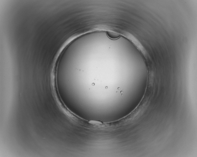 X0000111890955200907301155