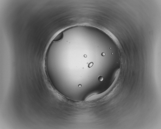 X0000111890956200907301155