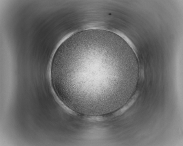 X0000111890957200907301155