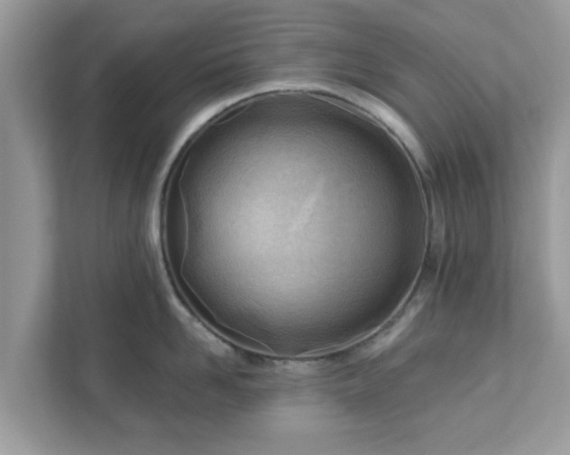 X0000111890958200907301155