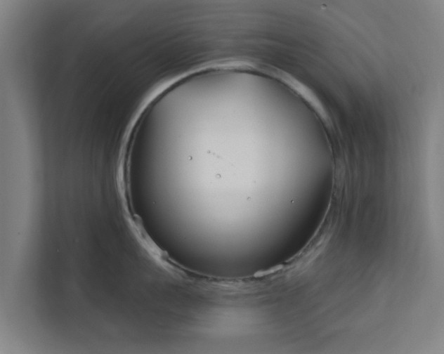 X0000111890959200907301155