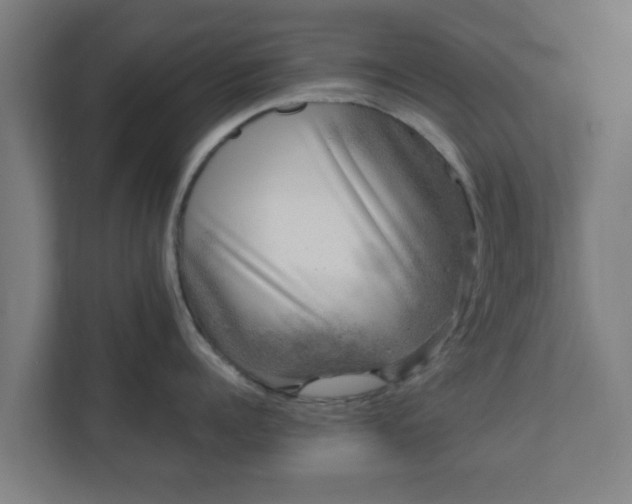 X0000111890960200907301155