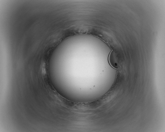 X0000111890962200907301154