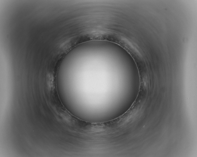 X0000111890964200907301154