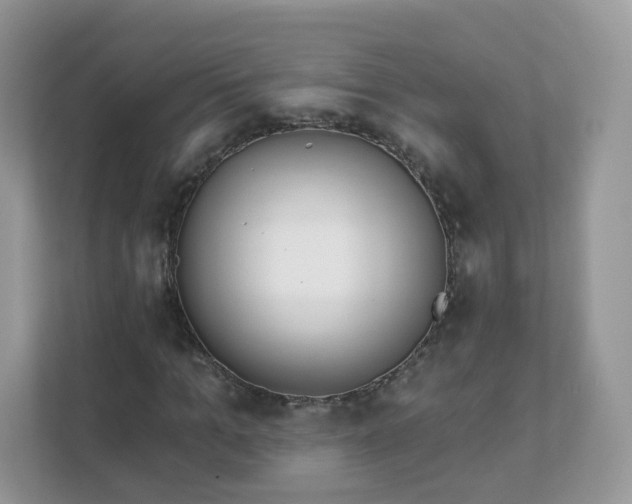 X0000111890965200907301154