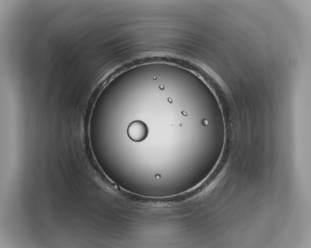 X0000111890969200907301154