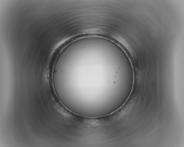 X0000111890971200907301154