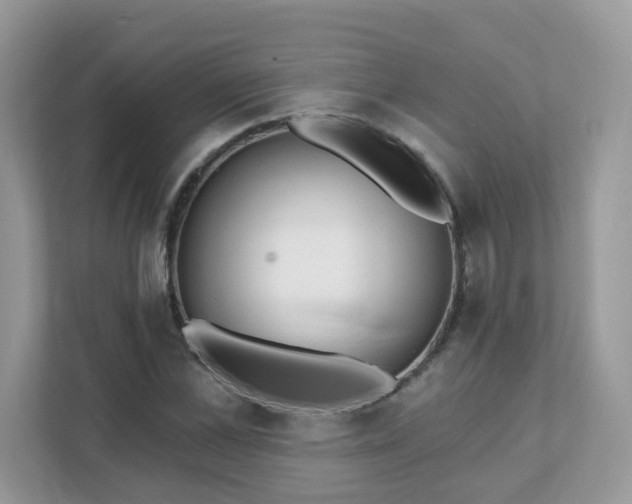 X0000111890973200907301154