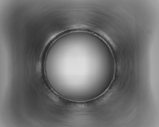 X0000111890975200907301154