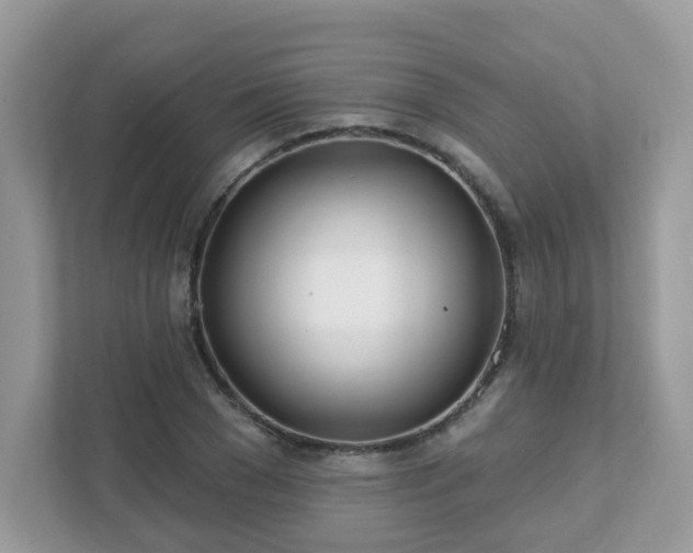 X0000111890977200907301154