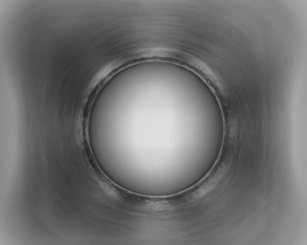 X0000111890978200907301154