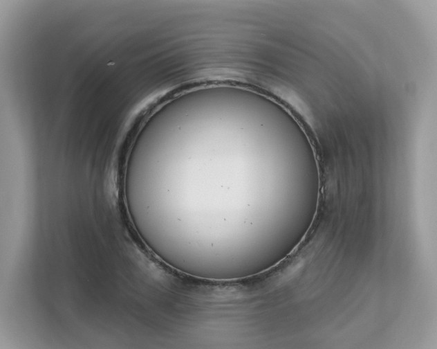 X0000111890979200907301154