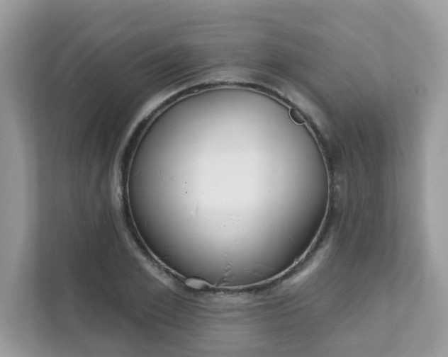 X0000111890981200907301154