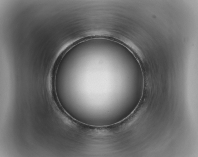 X0000111890983200907301154