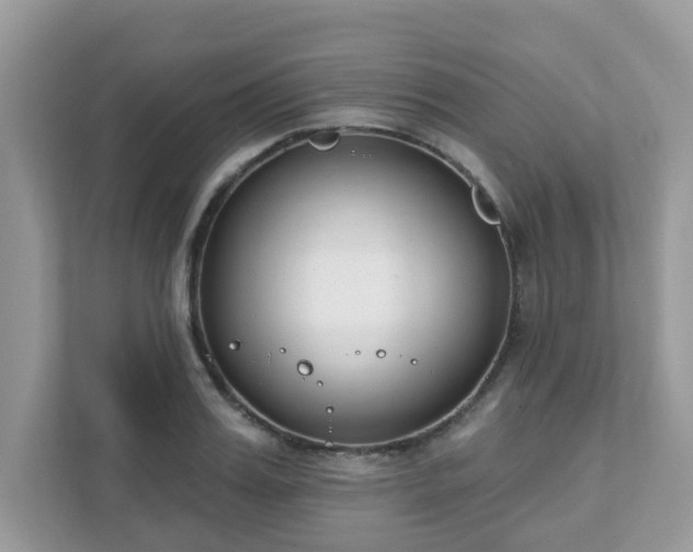 X0000111890987200907301154