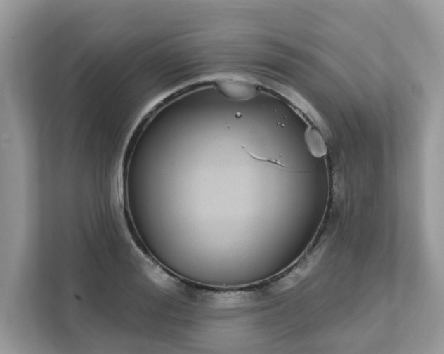 X0000111890988200907301154