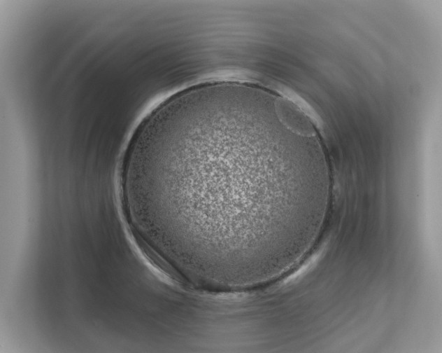 X0000111890989200907301154