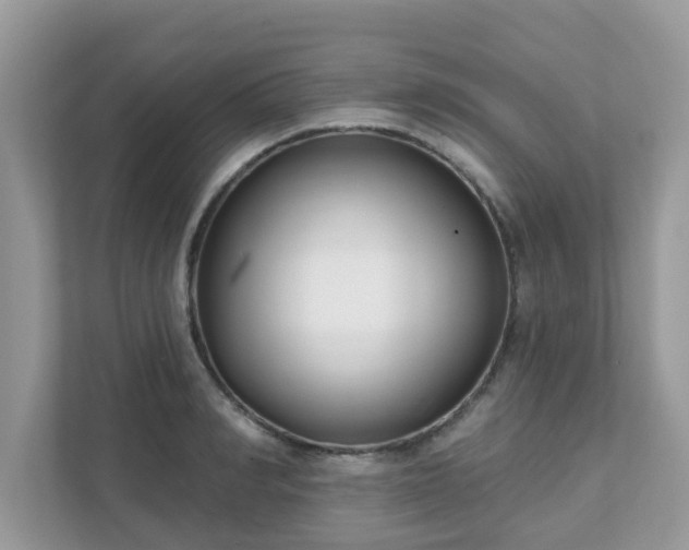 X0000111890990200907301154