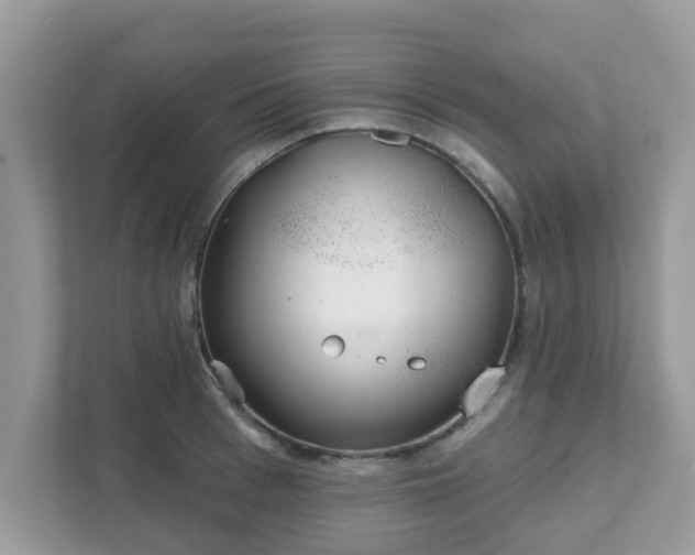 X0000111890993200907301154