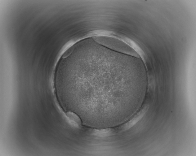 X0000111890997200907301154