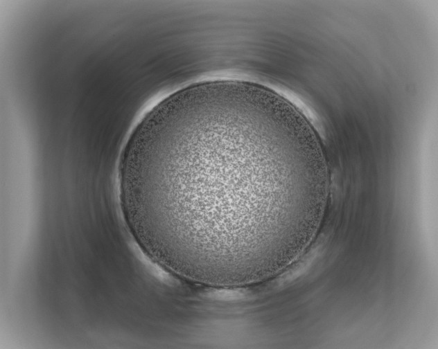 X0000111890998200907301154