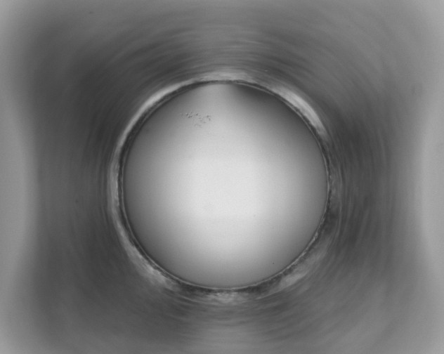 X0000111891000200907301154