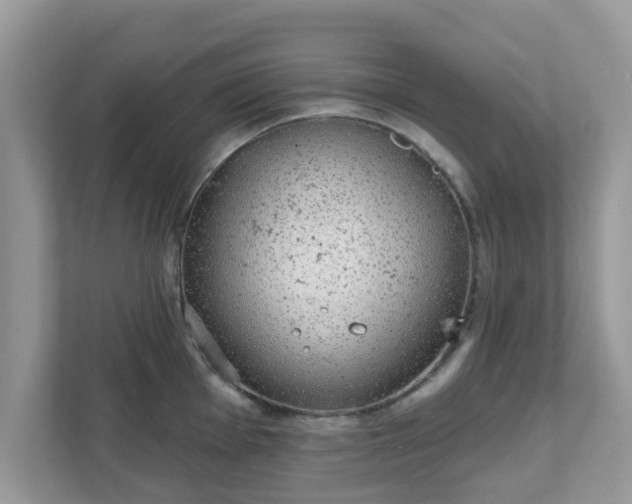 X0000111891001200907301154