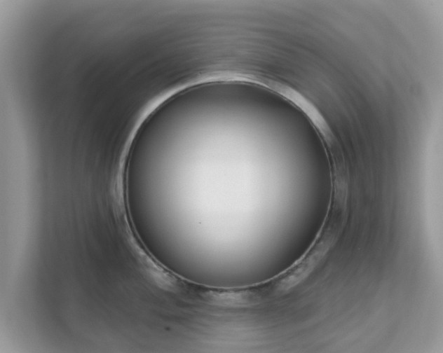 X0000111891004200907301154