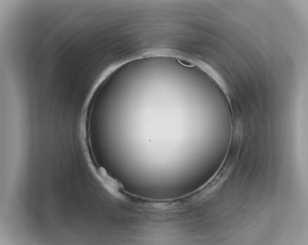 X0000111891005200907301154