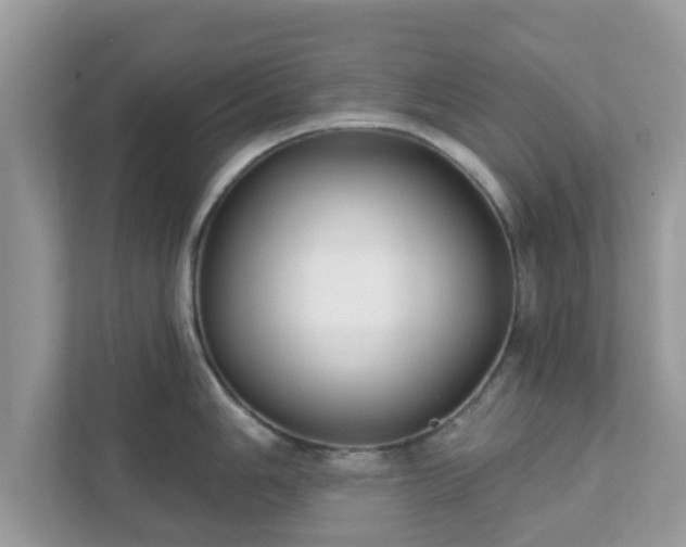 X0000111891006200907301154