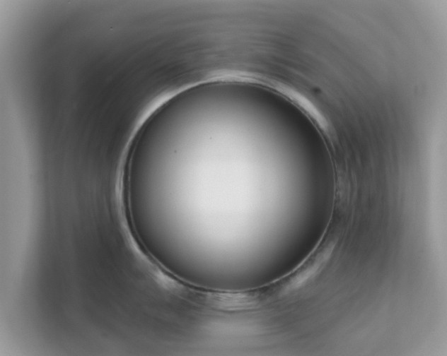 X0000111891007200907301154