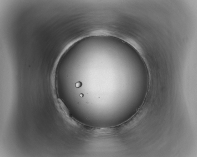 X0000111891008200907301154