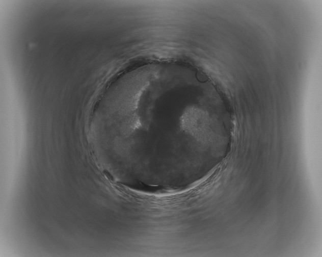 X0000111891009200907301153