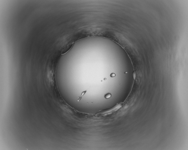 X0000111891010200907301153