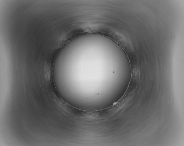 X0000111891012200907301153