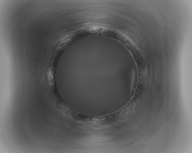 X0000111891013200907301153