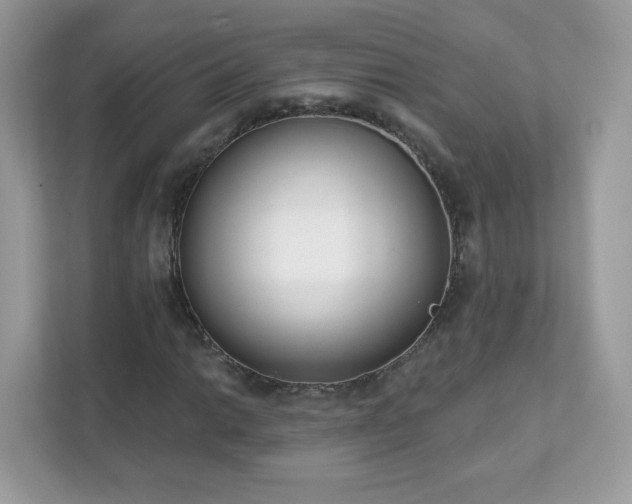 X0000111891014200907301153