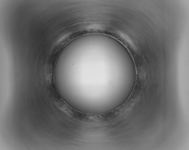 X0000111891015200907301153