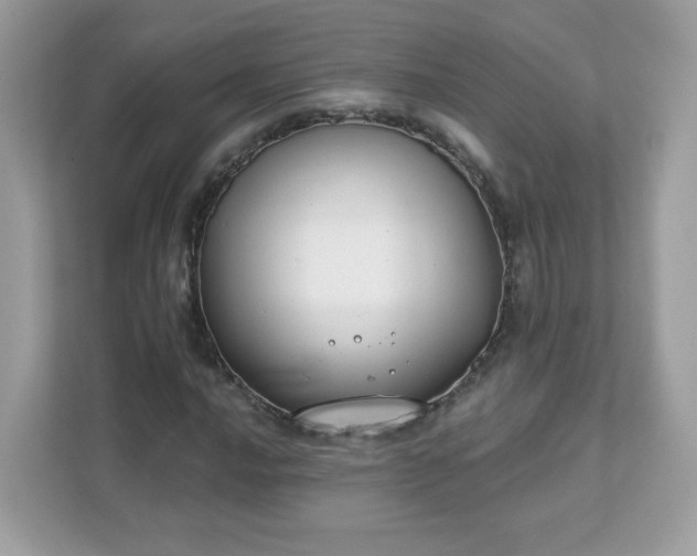 X0000111891016200907301153