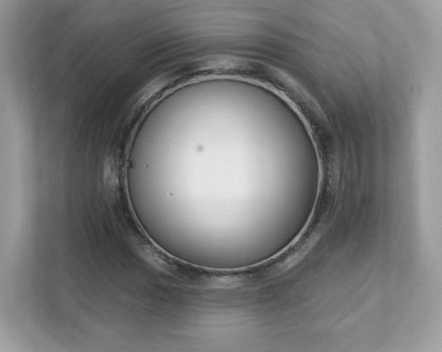 X0000111891017200907301153