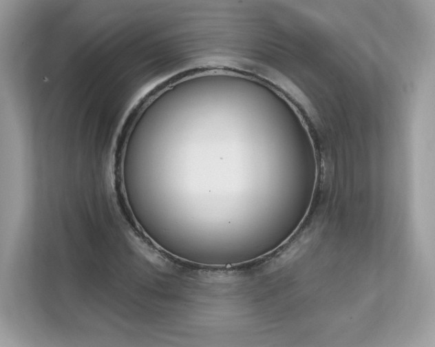 X0000111891020200907301153