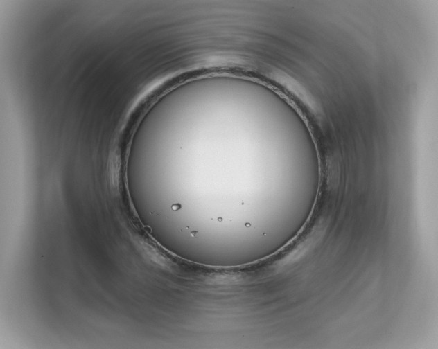 X0000111891021200907301153