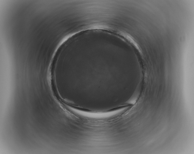 X0000111891024200907301153