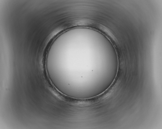 X0000111891026200907301153