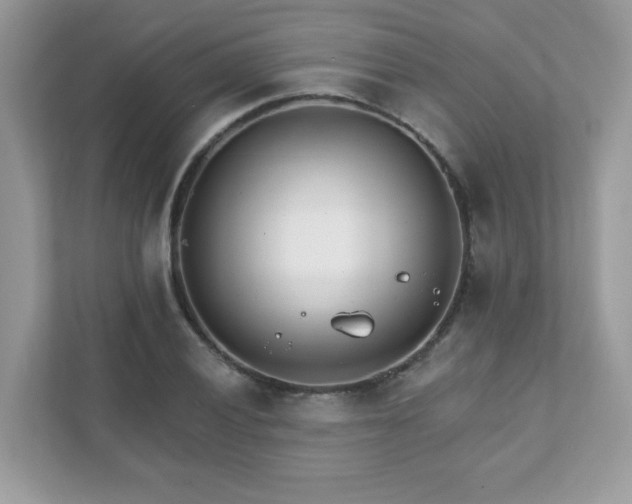 X0000111891028200907301153