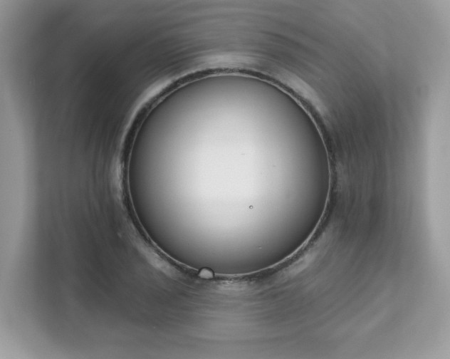 X0000111891029200907301153